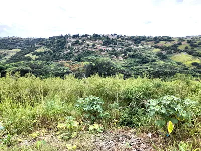 3 Bedroom House For Sale in Stanger - GE8p.webp