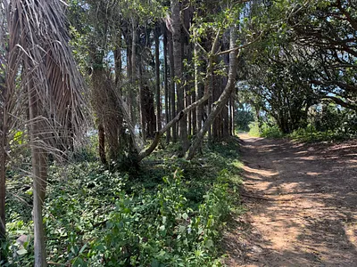 Vacant Land For Sale in Ballito - img