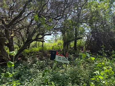 Vacant Land For Sale in Ballito - img