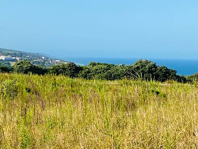 Vacant Land For Sale in Umhlanga - Nsms.webp
