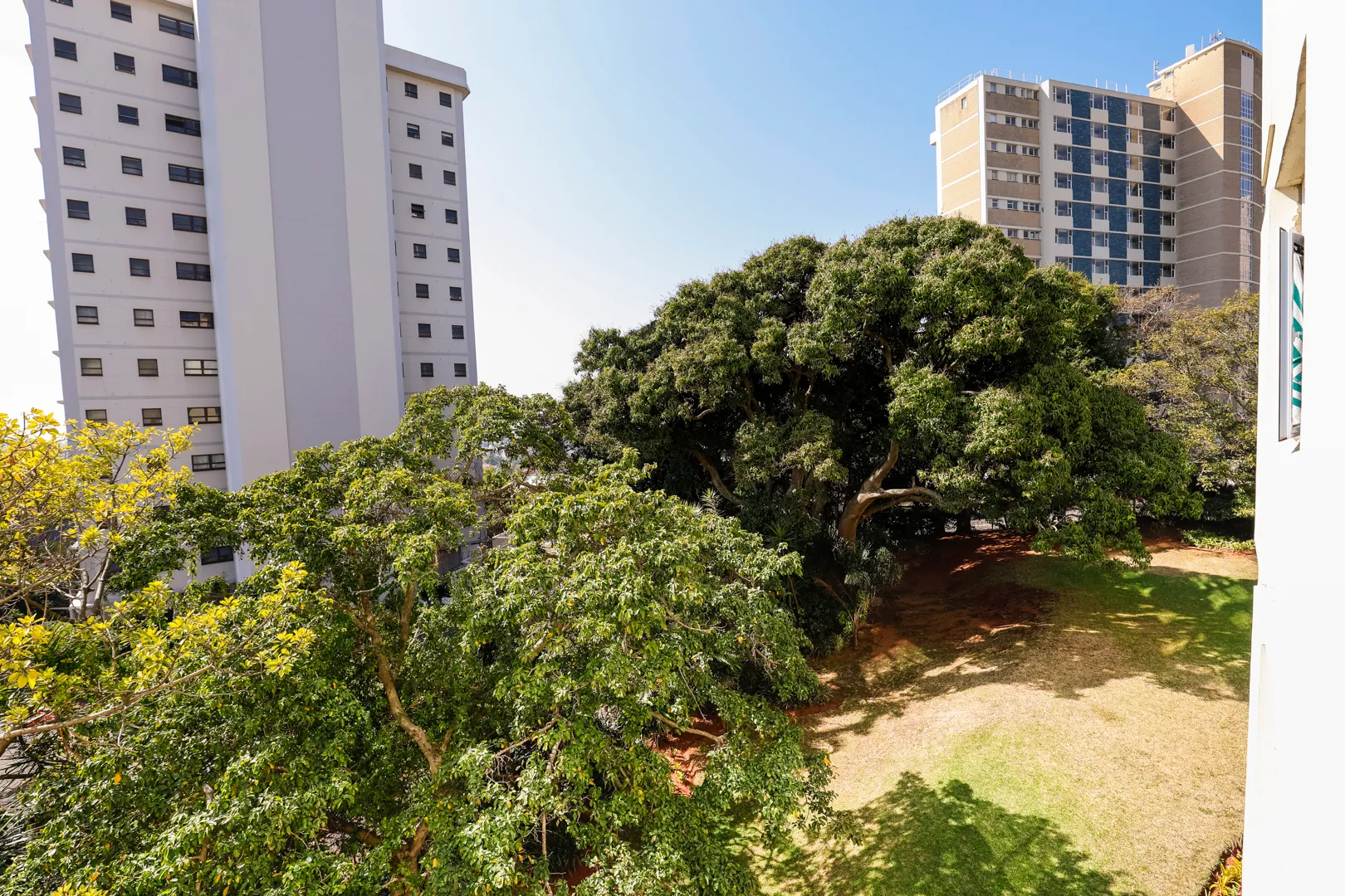 Carousel Indicator - hGsm.webp