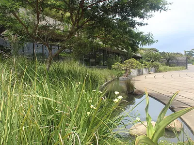 Vacant Land For Sale in Ballito - yiRe.webp