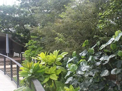 Vacant Land For Sale in Ballito - gnCx.webp