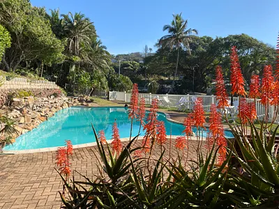 2 Bedroom Townhouse For Sale in Margate - img