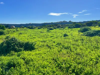 Vacant Land For Sale in Saldanha - JJYZ.webp
