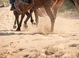 Carousel Indicator - Reci.webp