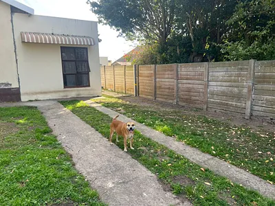 1 Bedroom House To Rent in East London - img