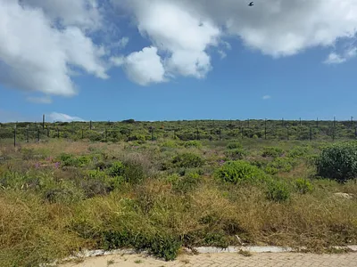 Vacant Land For Sale in Langebaan - BLmV.webp