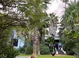 Carousel Indicator - vl1J.webp