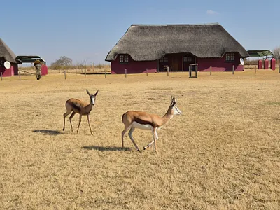 Commercial Property For Sale in Ventersdorp - Xjea.webp
