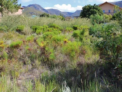 Vacant Land For Sale in Kleinmond - TK7U.webp