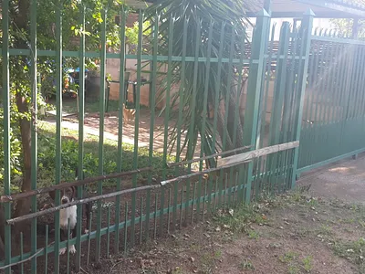 1 Bedroom Apartment To Rent in Pretoria - 9DHH.webp
