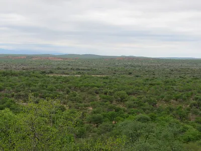 Farm For Sale in Musina - CMTC.webp