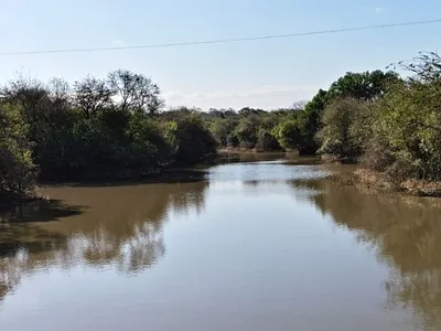Farm For Sale in Louis Trichardt - img