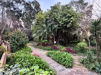 3 Bedroom Townhouse To Rent in Sandton - B23O.webp