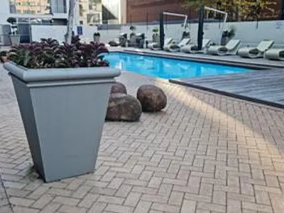 1 Bedroom Apartment To Rent in Sandton - eJw0.webp