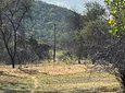 Carousel Indicator - iWBp.webp
