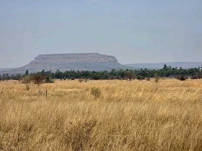 11 Bedroom House For Sale in Modimolle - GP1f.webp
