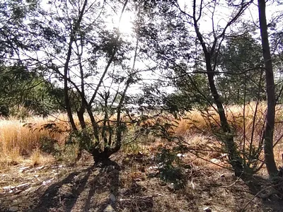 Vacant Land For Sale in Pretoria - 3v1v.webp