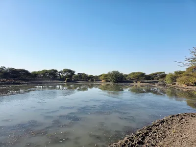 Farm For Sale in Mookgopong - su1t.webp