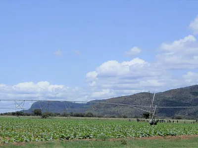 Farm For Sale in Mookgopong - k4US.webp
