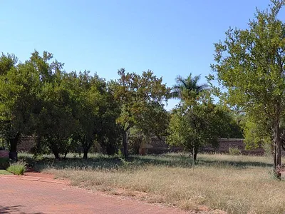 Vacant Land For Sale in Mookgopong - 6eTP.webp