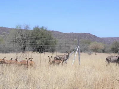 Farm For Sale in Lephalale - WNXX.webp