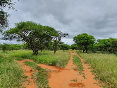 Farm For Sale in Mookgopong - psWP.webp