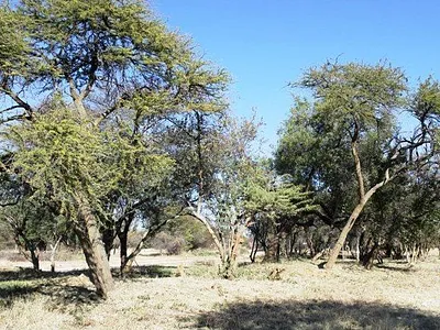 Vacant Land For Sale in Bela Bela - xuqd.webp