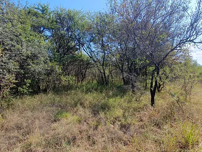 Farm For Sale in Mookgopong - mfth.webp