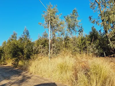 Vacant Land For Sale in Pretoria - o8Bu.webp