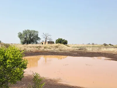 Farm For Sale in Mookgopong - 0pj9.webp