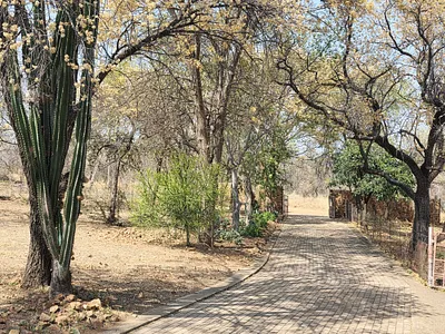 Farm For Sale in Bela Bela - XOKv.webp