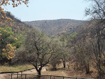 Farm For Sale in Bela Bela - nOgX.webp