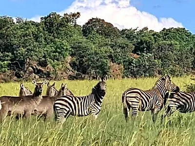 Vacant Land For Sale in Nylsoog Wind and  Eco Estate, Bela Bela - 5ZsY.webp