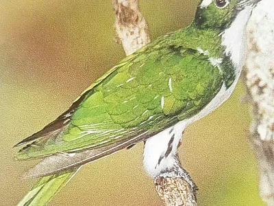 Vacant Land For Sale in Nylsoog Wind and  Eco Estate, Bela Bela - hf35.webp