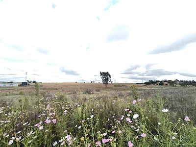 Vacant Land For Sale in Pretoria - Dcaw.webp