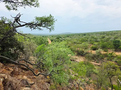 Farm For Sale in Vaalwater - xwVO.webp