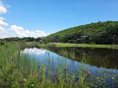 Farm For Sale in Modimolle - y3bw.webp