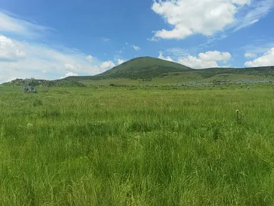 Vacant Land For Sale in Wakkerstroom - img