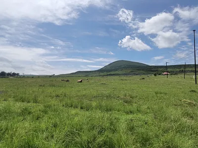 Vacant Land For Sale in Wakkerstroom - img