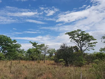 Vacant Land For Sale in Nylsoog Wind and  Eco Estate, Bela Bela - n6ni.webp