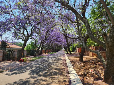 3 Bedroom House For Sale in Cullinan - uIki.webp