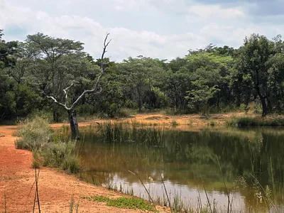 Farm For Sale in Mookgopong - img