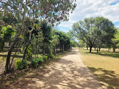 Farm For Sale in Mookgopong - img