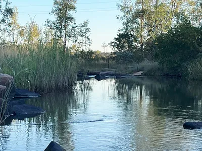 Farm For Sale in Vaalwater - md4f.webp