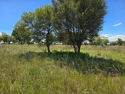 Vacant Land For Sale in Pretoria - ZXXa.webp