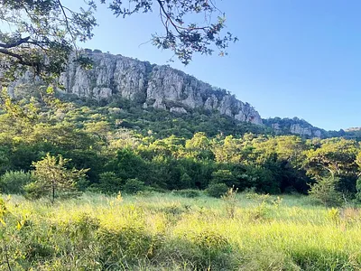 Farm For Sale in Vivo - XXMd.webp