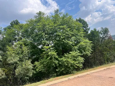 Vacant Land For Sale in Pretoria - VCGw.webp