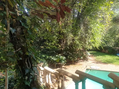 1 Bedroom Apartment To Rent in Pretoria - UNAN.webp